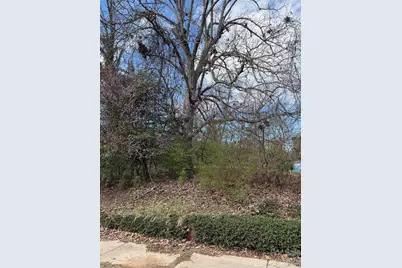 41 Maney Avenue, Asheville, NC 28804 - Photo 10