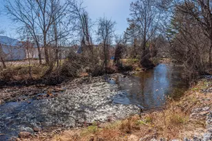 34 Leap Frog Pk, Waynesville, NC 28786 - Photo 18