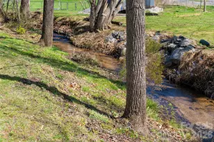 994 Riceville Rd, Asheville, NC 28805 - Photo 46