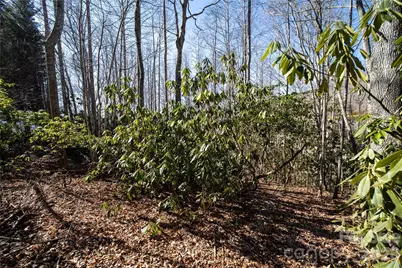 2310 Golf Club Court, Hendersonville, NC 28739 - Photo 12