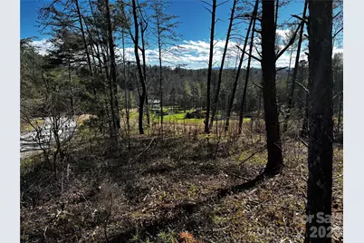 99999 Pine Forest Drive #B2, Weaverville, NC 28787 - Photo 2