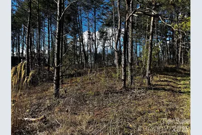 99999 Pine Forest Drive #B2, Weaverville, NC 28787 - Photo 4