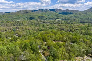 43 Galax Ln, Black Mountain, NC 28711 - Photo 34