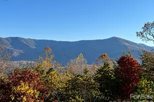 43 Galax Ln, Black Mountain, NC 28711 - Photo 42
