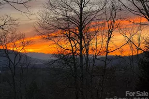 43 Galax Ln, Black Mountain, NC 28711 - Photo 40