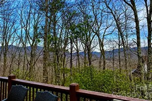 43 Galax Ln, Black Mountain, NC 28711 - Photo 38