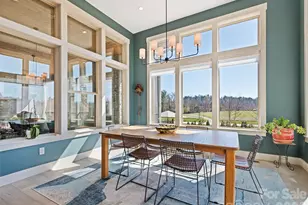 717 Daniel Cir Dr, Mills River, NC 28759 - Photo 20