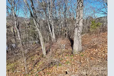 131 Skyline Drive #31, Canton, NC 28716 - Photo 10