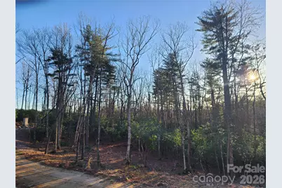 000 Bulling Creek Road, Hendersonville, NC 28739 - Photo 2