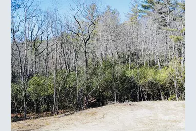 000 Bulling Creek Road, Hendersonville, NC 28739 - Photo 6