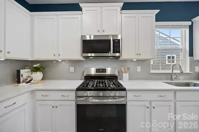 154 White Apple Way, Statesville, NC 28625 - Photo 16