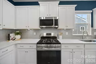 154 White Apple Wy, Statesville, NC 28625 - Photo 16