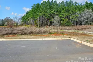 15748 Country House St, Charlotte, NC 28273 - Photo 32