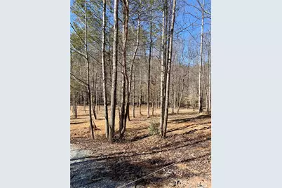 5915 River Hollow Trail #758, Lenoir, NC 28645 - Photo 6