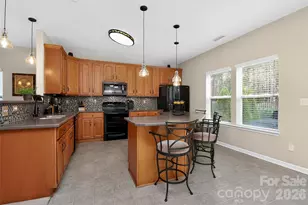 15531 Lakepoint Forest Dr, Charlotte, NC 28278 - Photo 16