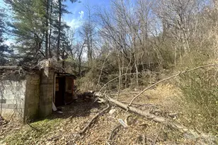 124 Candler Knob Rd, Asheville, NC 28806 - Photo 8