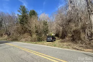 124 Candler Knob Rd, Asheville, NC 28806 - Photo 6