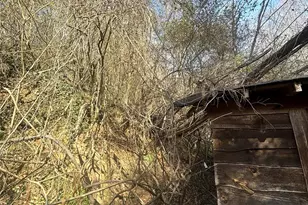 124 Candler Knob Rd, Asheville, NC 28806 - Photo 14