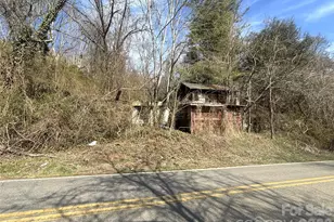 124 Candler Knob Rd, Asheville, NC 28806 - Photo 4