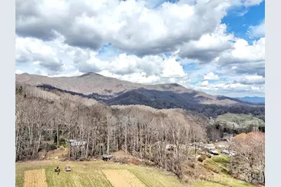 63 Alpaugh Drive, Waynesville, NC 28786 - Photo 4