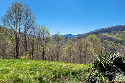 311 Pisgah Mine Road, Burnsville, NC 28714 - Photo 16