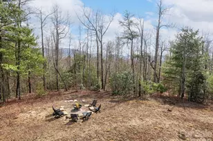 2201 Bulling Creek Rd, Penrose, NC 28766 - Photo 16