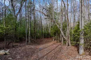 2201 Bulling Creek Rd, Penrose, NC 28766 - Photo 42