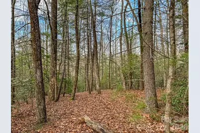 2201 Bulling Creek Road, Penrose, NC 28766 - Photo 46