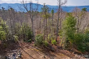 2201 Bulling Creek Rd, Penrose, NC 28766 - Photo 32