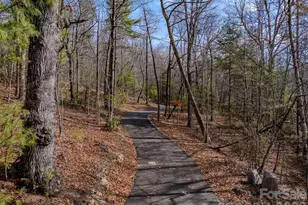 2201 Bulling Creek Rd, Penrose, NC 28766 - Photo 40