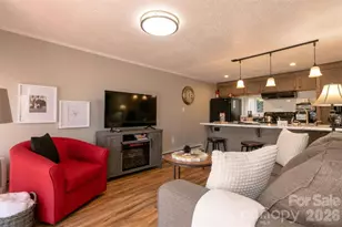 7 N Delano Rd, Asheville, NC 28805 - Photo 14