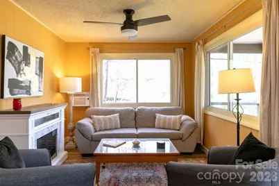 7 N Delano Road, Asheville, NC 28805 - Photo 8