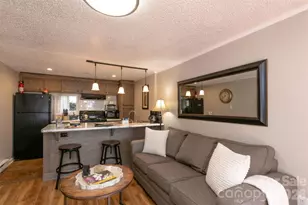 7 N Delano Rd, Asheville, NC 28805 - Photo 16