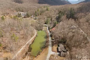 86 Chestnut Hill Rd, Gerton, NC 28735 - Photo 46