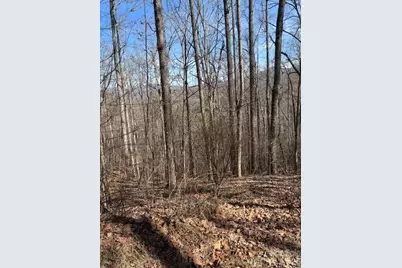 Lot 13 Henderson Road, Franklin, NC 28734 - Photo 6