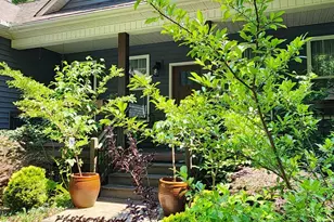 3327 Greenville Hwy, Flat Rock, NC 28731 - Photo 34