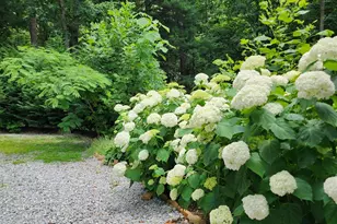 3327 Greenville Hwy, Flat Rock, NC 28731 - Photo 32