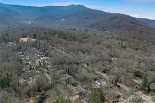 25 Woodbend Ln, Black Mountain, NC 28711 - Photo 40