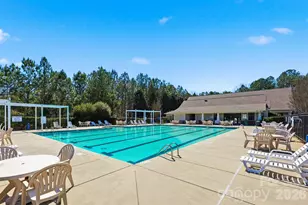 1210 Gold Rush Ct, Fort Mill, SC 29708 - Photo 38