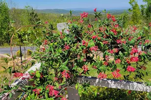 2262 Grandview Peaks Dr, Nebo, NC 28761 - Photo 40