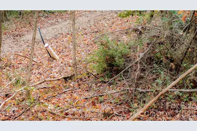 82 Overlook Drive W, Marion, NC 28752 - Photo 10