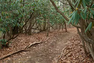 508 Avery Creek Rd, Arden, NC 28704 - Photo 36