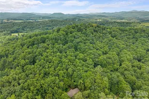 6 Ravenwood Ln, Horse Shoe, NC 28742 - Photo 40