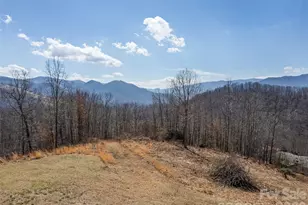 425 Rustic Ridge Dr, Canton, NC 28716 - Photo 8