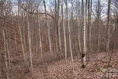 00 Upward Way #1, Waynesville, NC 28785 - Photo 8