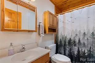 401 Tipstill Cove, Waynesville, NC 28786 - Photo 24