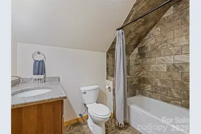 364 Lee Street, Sylva, NC 28779 - Photo 42