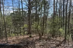 2 Frontier Ct, Asheville, NC 28805 - Photo 1