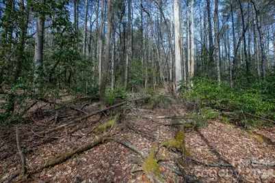Lot 13 Deerlake Drive #13, Brevard, NC 28712 - Photo 2