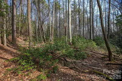 Lot 13 Deerlake Drive #13, Brevard, NC 28712 - Photo 4